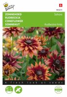 Buzzy   bloemzaden   Rudbeckia Sahara (Zonnehoed)