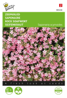 Buzzy® Saponaria zaden   Zeepkruid