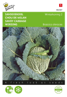 Buzzy® Savooiekool zaden   Winterkoning