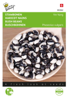Buzzy seeds Stambonen zaden   Yin Yang   15g