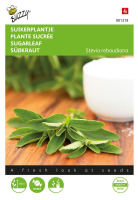 Buzzy® Stevia zaden   Suikerplantje of Honingkruid