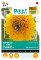 Buzzy® Zonnebloem zaden   Sungold