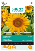 Buzzy seeds Zonnebloemenzaden   Irish Eyes