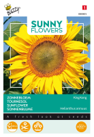 Buzzy® Zonnebloem zaden   Henri Wilded