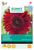 Buzzy® Zonnebloem zaden   Moulin Rouge   Helianthus Annuus