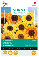 Buzzy® Zonnebloem zaden   Music Box