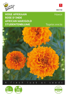 Buzzy seeds Hoge afrikaan zaden   Hawaii   oranje