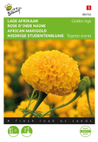 Buzzy seeds Lage afrikaan zaden   Golden Age
