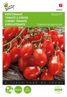 Buzzy seeds Tomaat zaden   Modus F1