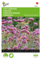 Buzzy   bloemzaden   Verbena, Stijf Ijzerhard