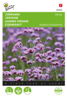 Buzzy seeds   bloemzaden   Verbana bonariensis   Ijzerhard   Vanity (Laag soort)