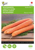 Buzzy® Winterwortel zaden   Berlikumer