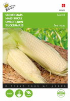 Buzzy suikermaïszaden   Glacial
