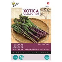 Buzzy Xotica Purple Choy Sumzaden   'Hon Tsai Tai'