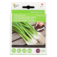 Buzzy seeds Zaadlint Bosui zaden   White Lisbon