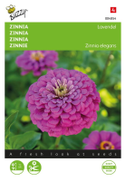 Buzzy seeds   bloemzaden   Zinnia Lavendel