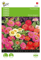 Buzzy seeds Zinnia zaden   Thumbelina   laag   gemengd
