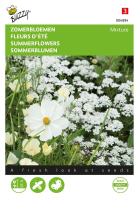 Buzzy bloemenweide   Witte zomerbloemenzaden