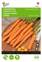 Buzzy seeds Zomerwortel zaden   Amsterdamse Bak