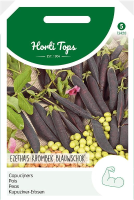 Horti Tops capucijners Blauwschokkers Ras Ezetha