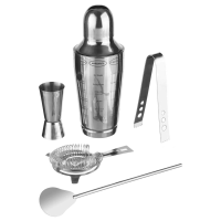 Secret de Gourmet 5 delige cocktailset van roestvrij staal