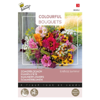 Buzzy Colourful Bouquets   Endless Summer   Zomerbloemen mengsel