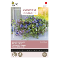 Buzzy Colourful Bouquets   Royal Blue   Blauwe bloemenmengsel