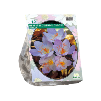 Baltus 'Crocus Sativus   voorjaarsbloeiers   12 bollen