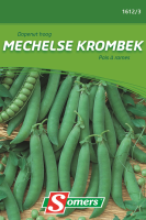 Somers Doperwtzaden   Hoge Mechelse Krombek 160G   Zaadvast hoge struik   steun nodig