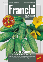 Franchi Sementi Augurk zaden   Cetriolino Levina F1