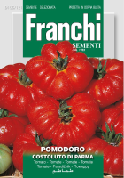 Franchi Sementi Tomaat zaden   Pomodoro Costoluto de Parma