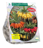Baltus 'Fritillaria Imperialised'   voorjaarsbloeiers   Mix   3 bollen