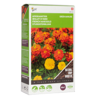 Buzzy® Groenbemester   Afrikaantjes   50g