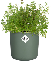 Elho kruidenpot Happy Herbs   Blad groen (Groen)   Diameter 15 x H 17 cm