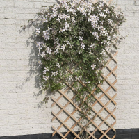 Nature verstelbaar houten klimrek   50 x 150 cm   naturel