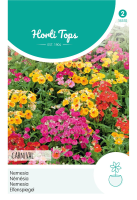 Horti Tops Nemesia Strumosa Carnaval Gem.