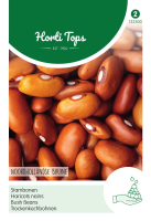 Horti Tops stambonen bruine Noordhollandse   25 gram