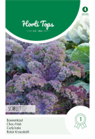 Horti Tops Paarse Boerenkool zaden   Scarlet