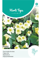 Horti Tops Oost Indische kers zaden   Tropaeolum majus Milkmaid