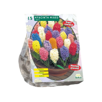 Baltus Hyacinth Mix   Hyacint   9 stuks