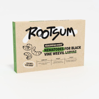 Rootsum Kraunema   500m²   aaltjes tegen larven van de taxuskever   250 miljoen