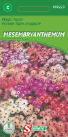 Somers   bloemzaden   Magisch Tapijt Mesembryanthemum