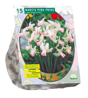 Baltus 'Narcis Pink Charm'   voorjaarsbloeiers   Roze   15 bloembollen