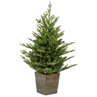 Nordmann kunstkerstboom   91 cm   groen   Diameter 76 cm   668 tips   100 ledlampjes   houten pot