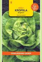 Oranjeband Kropsla zaden   Larissa   serresla