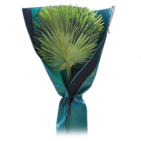 Bio Green plantenhoes voor palmen   geschikt tot H150 cm en stam met diameter 35 cm