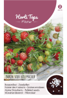 Horti Tops Pilstar aardbeien Baron von Solemacher zaadpillen   Bosaardbei