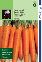 Horti Tops pilstar Pillenzaden Wortelen zaden   Nantes 2