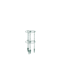 Prosperplast Floo Plantensteun   Groen   48 cm   Set