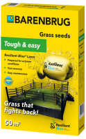 Barenbrug graszaad 1kg tot 50m²   Resilient Blue Lawn   gras dat terugvecht